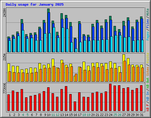 Daily usage for January 2025