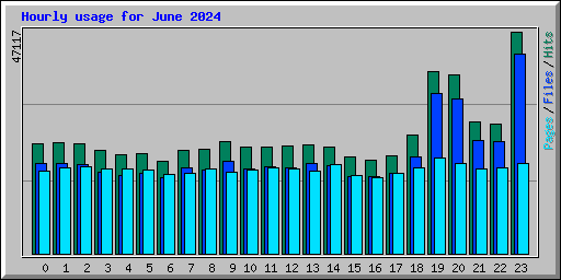 Hourly usage for June 2024