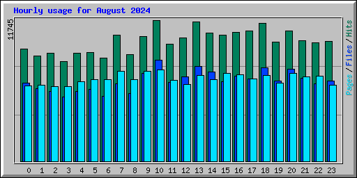 Hourly usage for August 2024