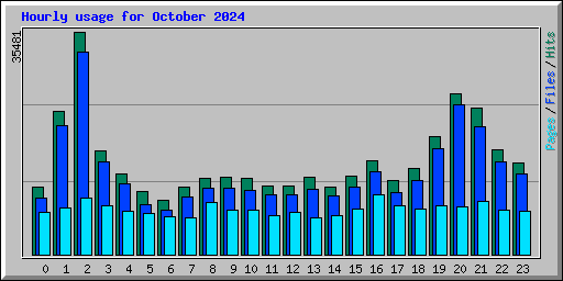 Hourly usage for October 2024