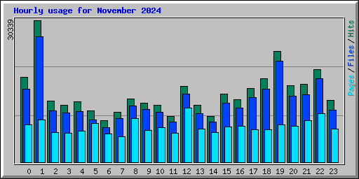 Hourly usage for November 2024