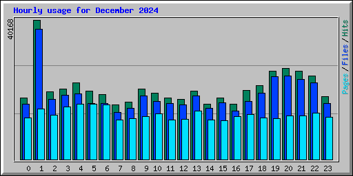 Hourly usage for December 2024