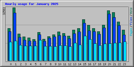 Hourly usage for January 2025