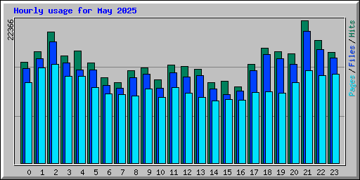 Hourly usage for May 2025