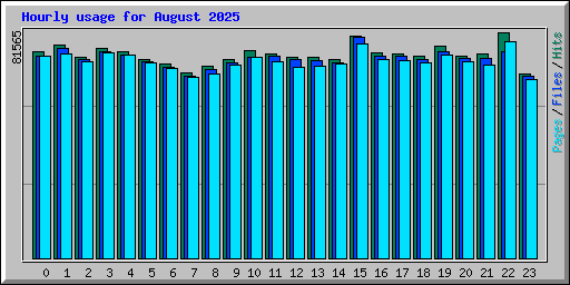 Hourly usage for August 2025
