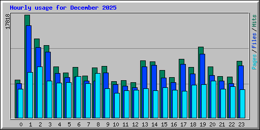 Hourly usage for December 2025