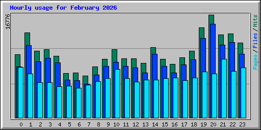 Hourly usage for February 2026