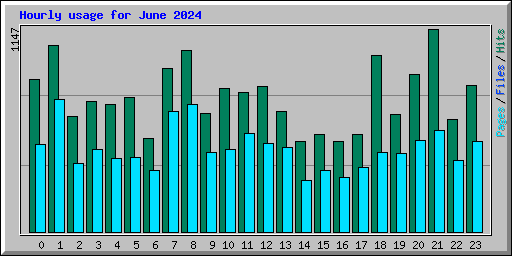 Hourly usage for June 2024