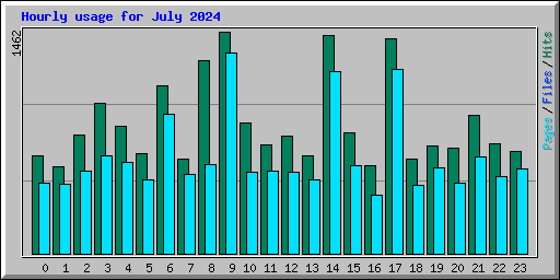 Hourly usage for July 2024