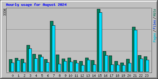 Hourly usage for August 2024