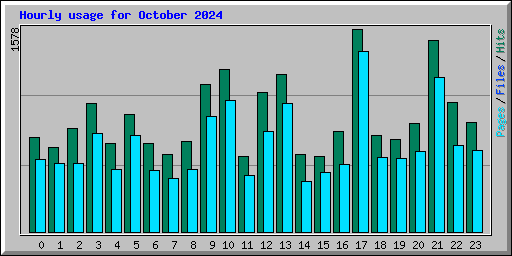 Hourly usage for October 2024