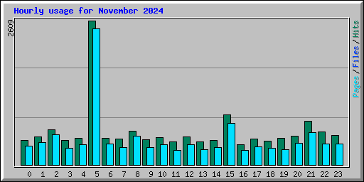 Hourly usage for November 2024