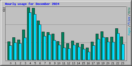 Hourly usage for December 2024