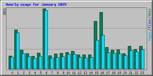 Hourly usage for January 2025