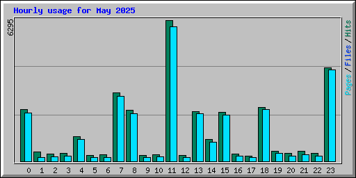 Hourly usage for May 2025