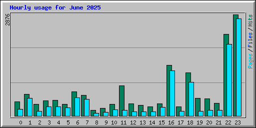 Hourly usage for June 2025