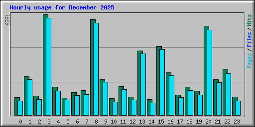 Hourly usage for December 2025