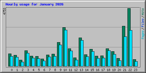 Hourly usage for January 2026