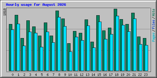 Hourly usage for August 2026